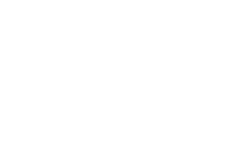 Journal du Net